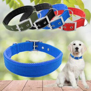 Vòng Cổ Cho Chó Lớn - Vòng Cổ Xịn Có Đệm DaVòng Cổ Size Lớn Cho Chó