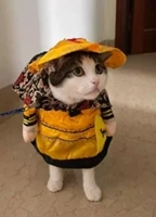 Combo đồ cosplay hoàng thượng cho chó mèo